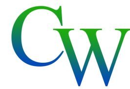 Cogniwonder Learning Solutions 